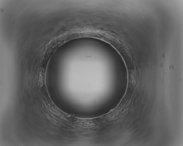 X0000086061493200703301027