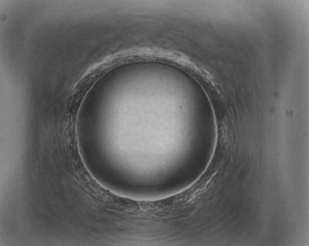 X0000086061494200703301027