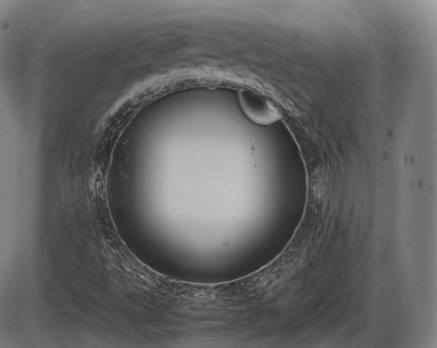 X0000086061495200703301027