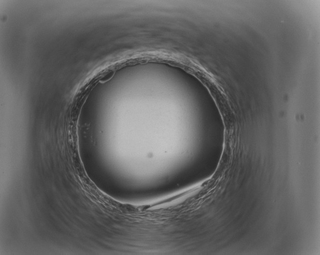 X0000086061496200703301027