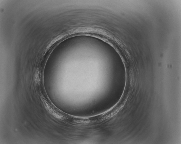 X0000086061497200703301027