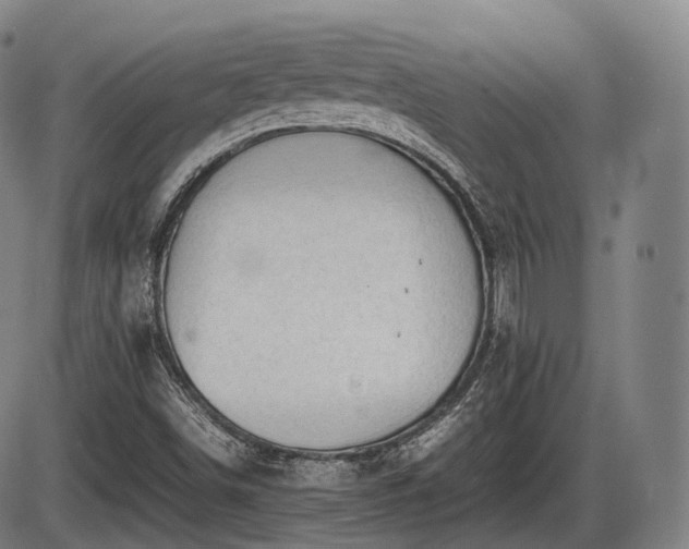 X0000086061498200703301027