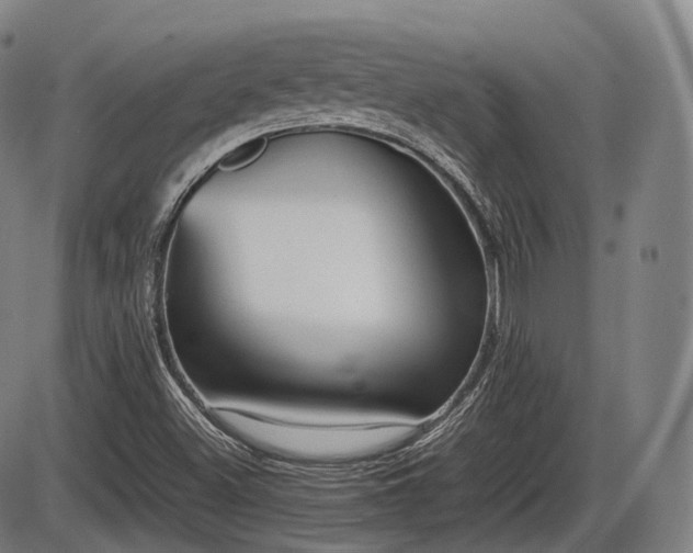 X0000086061500200703301027