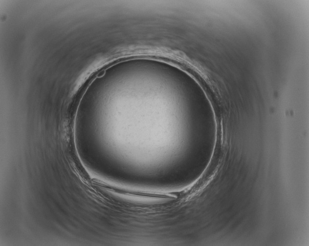 X0000086061501200703301027