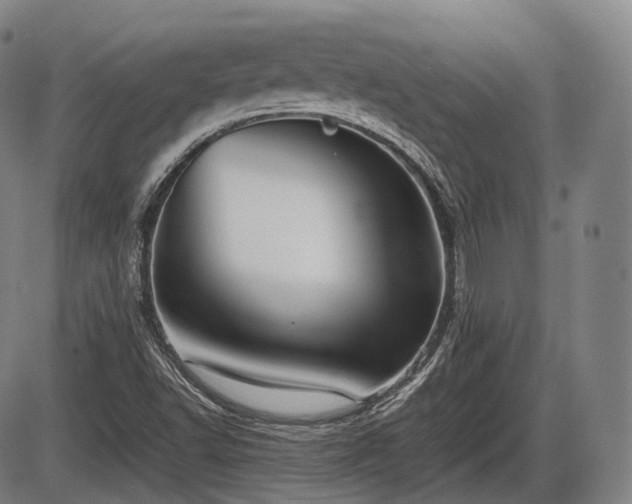 X0000086061502200703301027