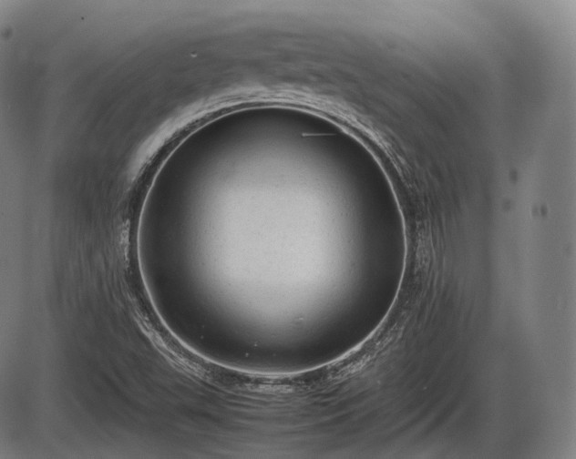 X0000086061503200703301027