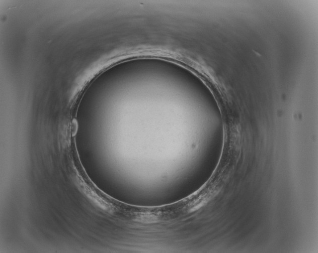 X0000086061504200703301027