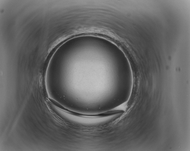 X0000086061505200703301027