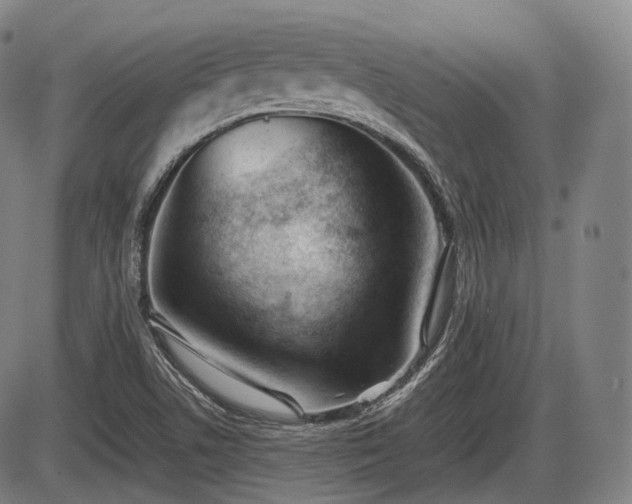 X0000086061506200703301027