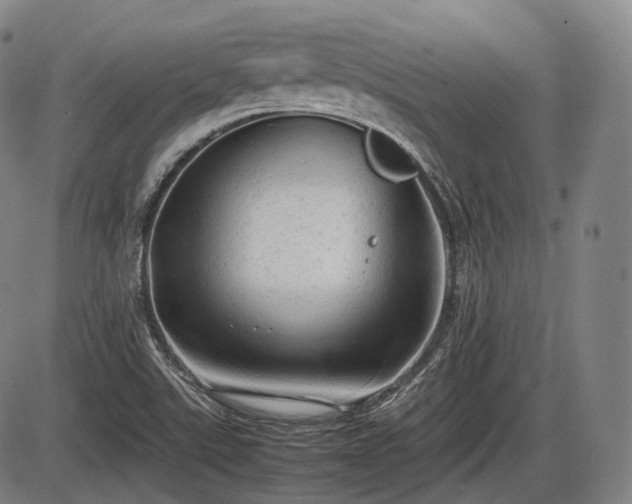 X0000086061507200703301027