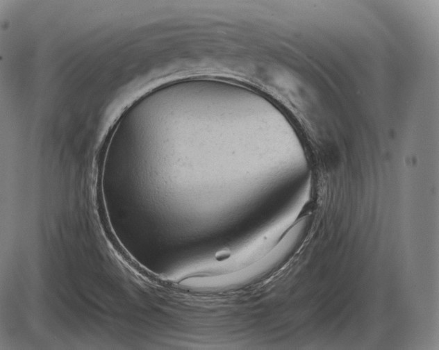 X0000086061508200703301027