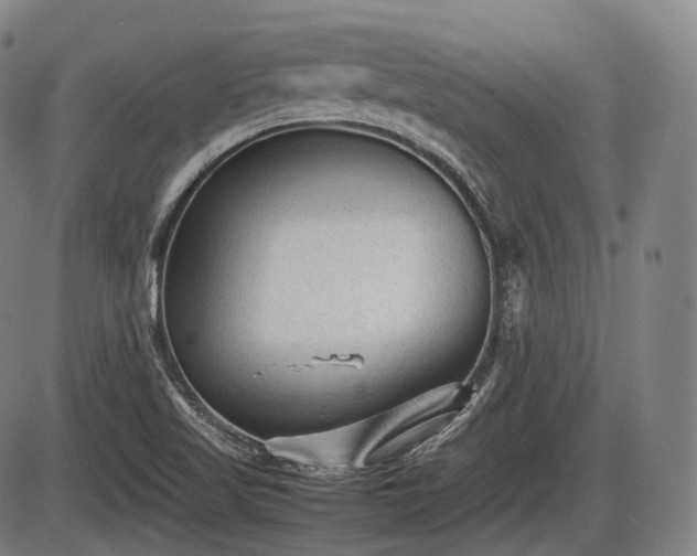 X0000086061509200703301027