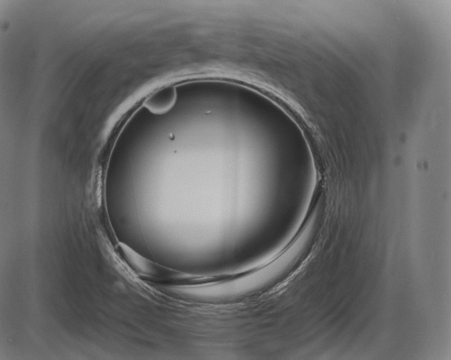 X0000086061510200703301027