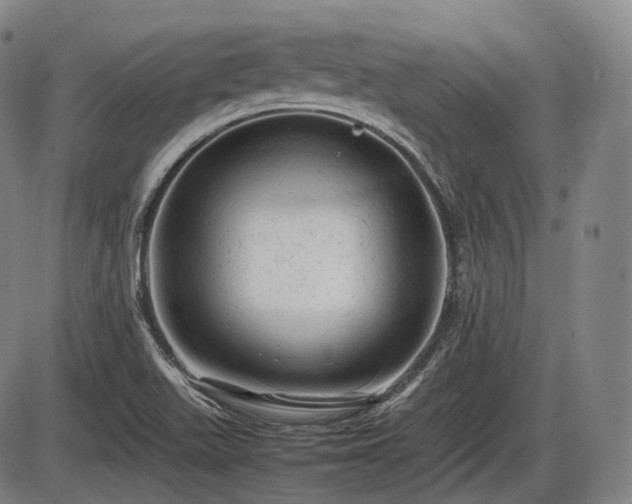 X0000086061511200703301027