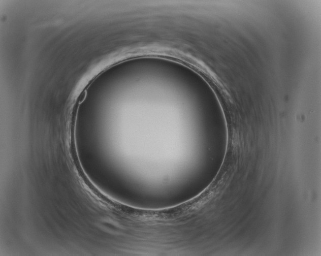 X0000086061512200703301027