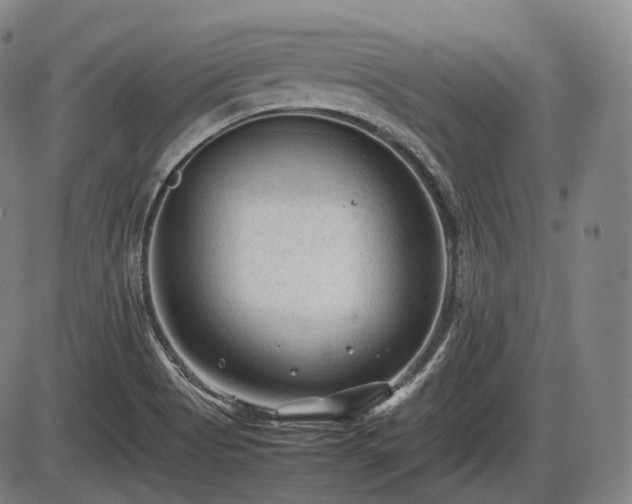 X0000086061513200703301027