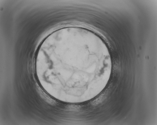 X0000086061514200703301027