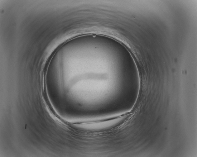 X0000086061515200703301027