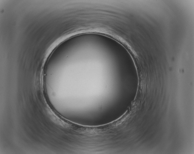 X0000086061516200703301027