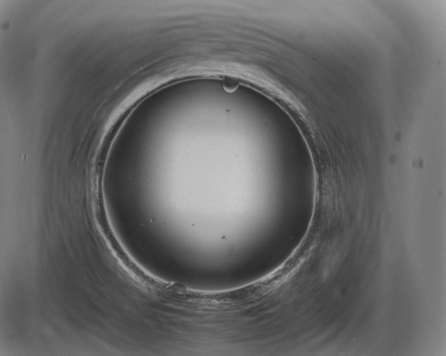 X0000086061517200703301027