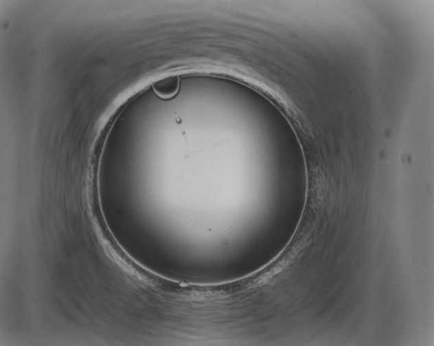 X0000086061518200703301028