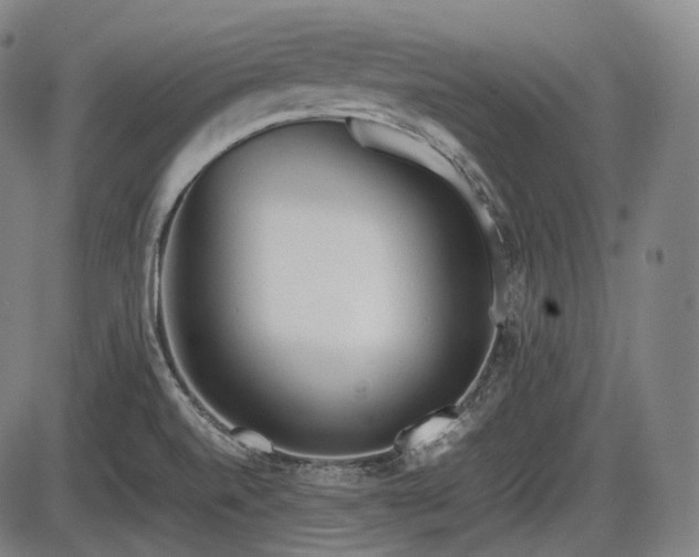 X0000086061520200703301028