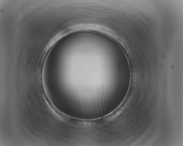 X0000086061521200703301028