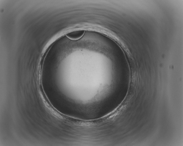 X0000086061522200703301028