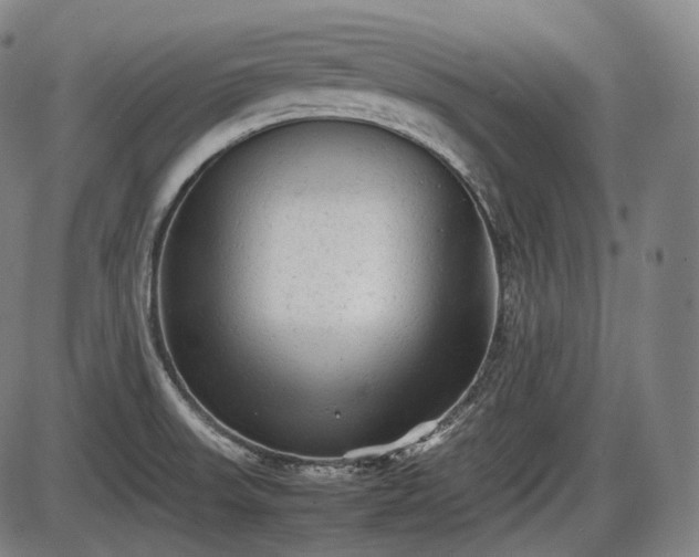 X0000086061523200703301028