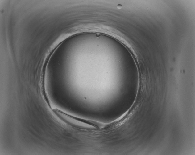 X0000086061525200703301028