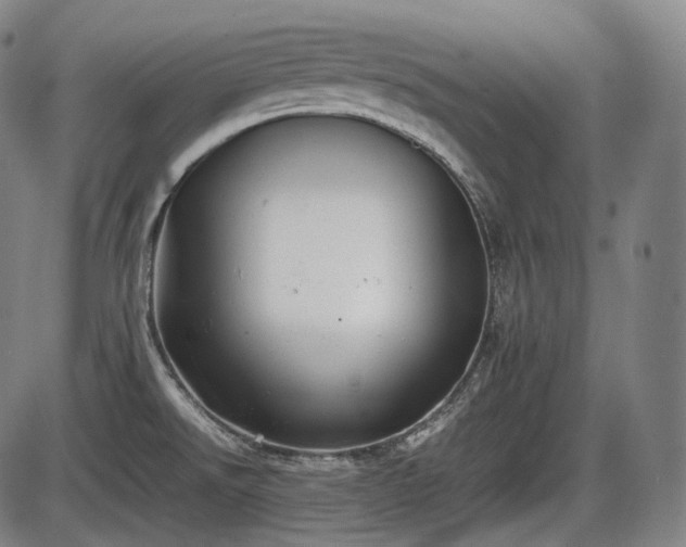 X0000086061526200703301028