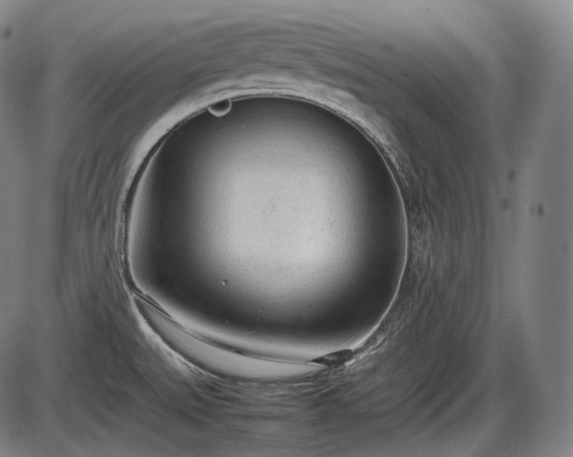 X0000086061527200703301028