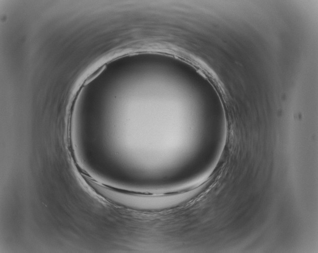 X0000086061528200703301028