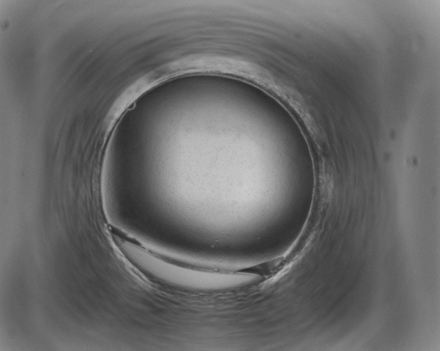 X0000086061529200703301028