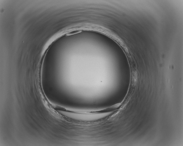 X0000086061530200703301028