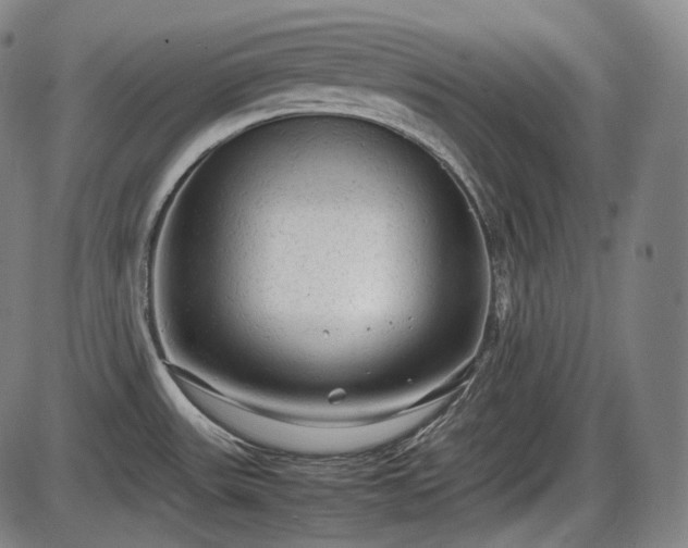 X0000086061531200703301028