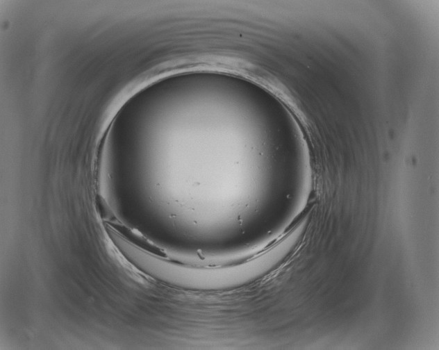 X0000086061532200703301028