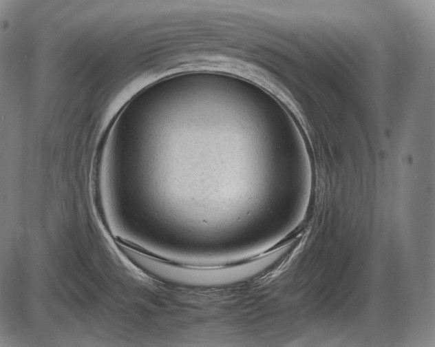 X0000086061533200703301028