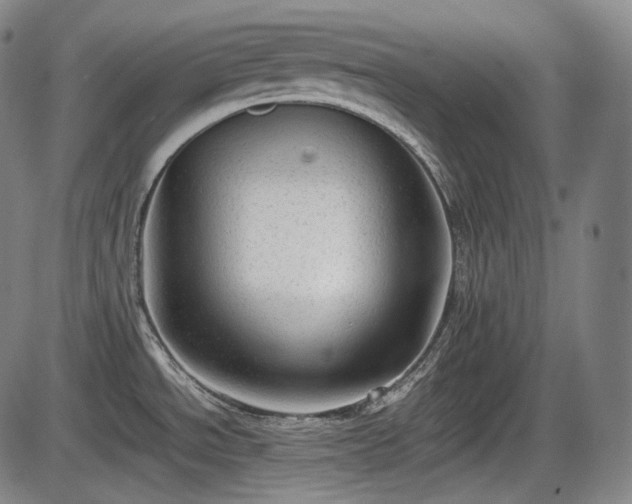 X0000086061534200703301028