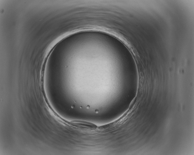 X0000086061535200703301028