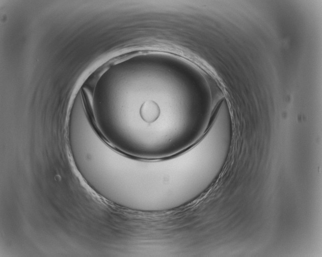 X0000086061536200703301028