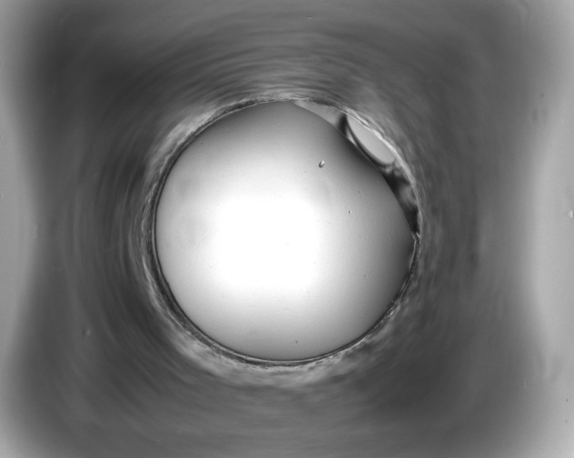 X0000086060001200704091237