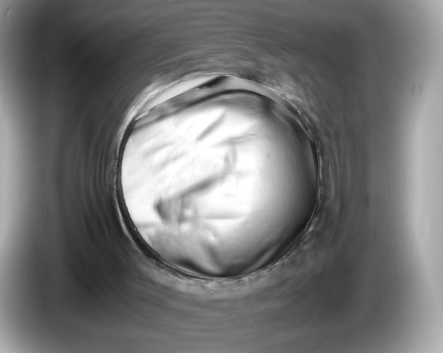 X0000086060003200704091236