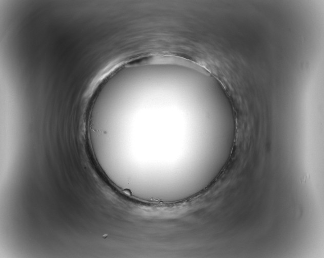 X0000086060005200704091236