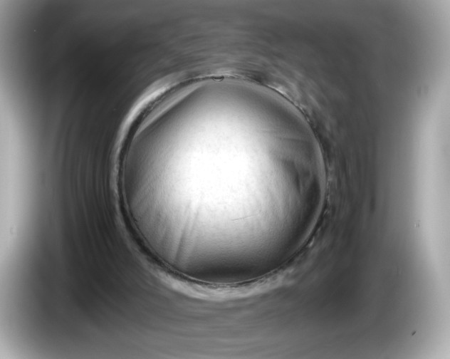 X0000086060006200704091236