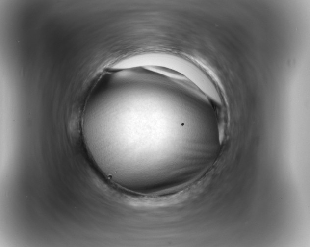 X0000086060009200704091236