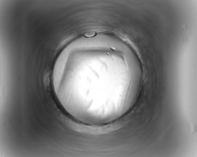 X0000086060010200704091236