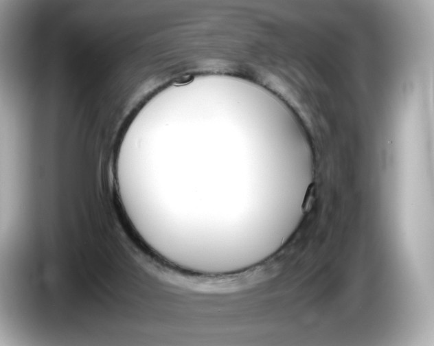 X0000086060011200704091236