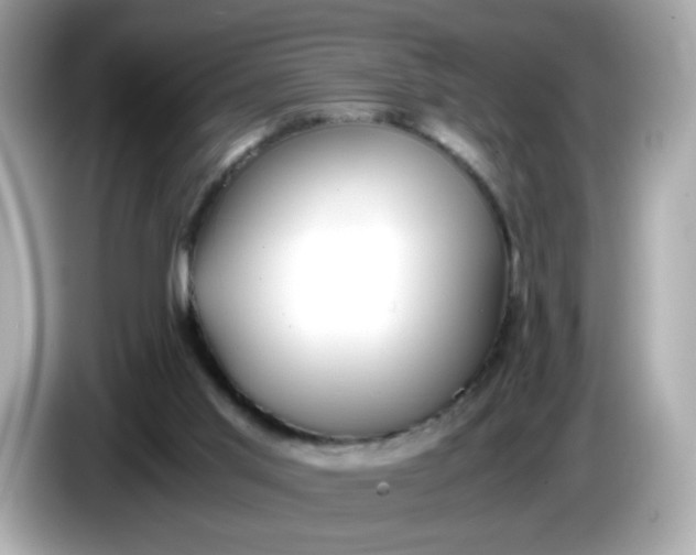 X0000086060013200704091236