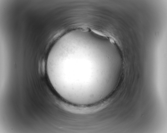 X0000086060014200704091236